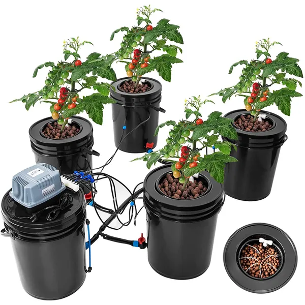 DWC Bucket Growing System with Recirculating Top Feed Drip