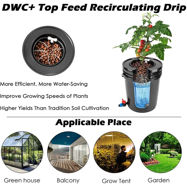 DWC Bucket Growing System with Recirculating Top Feed Drip