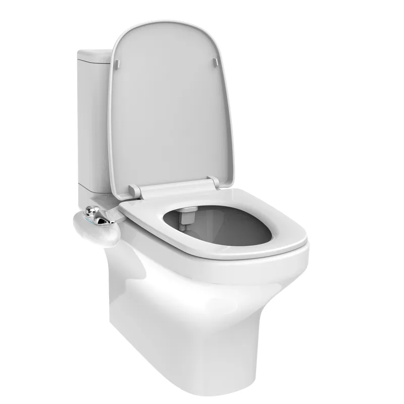 Modern Self-Cleaning Function Dual Nozzle Bidet Toilet Attachment