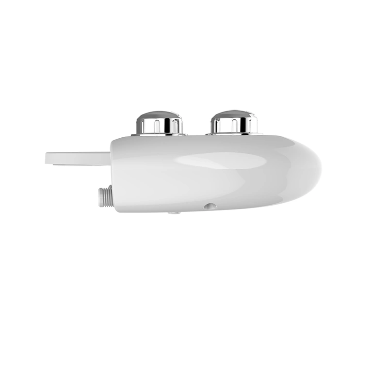 Nozzle Self-cleaning Fresh Water Plastic Toilet Bidet Spray Bidet 