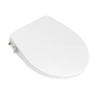Bathroom Accessories Seat Toilet Seat Cover With Bidet Soft Closing 