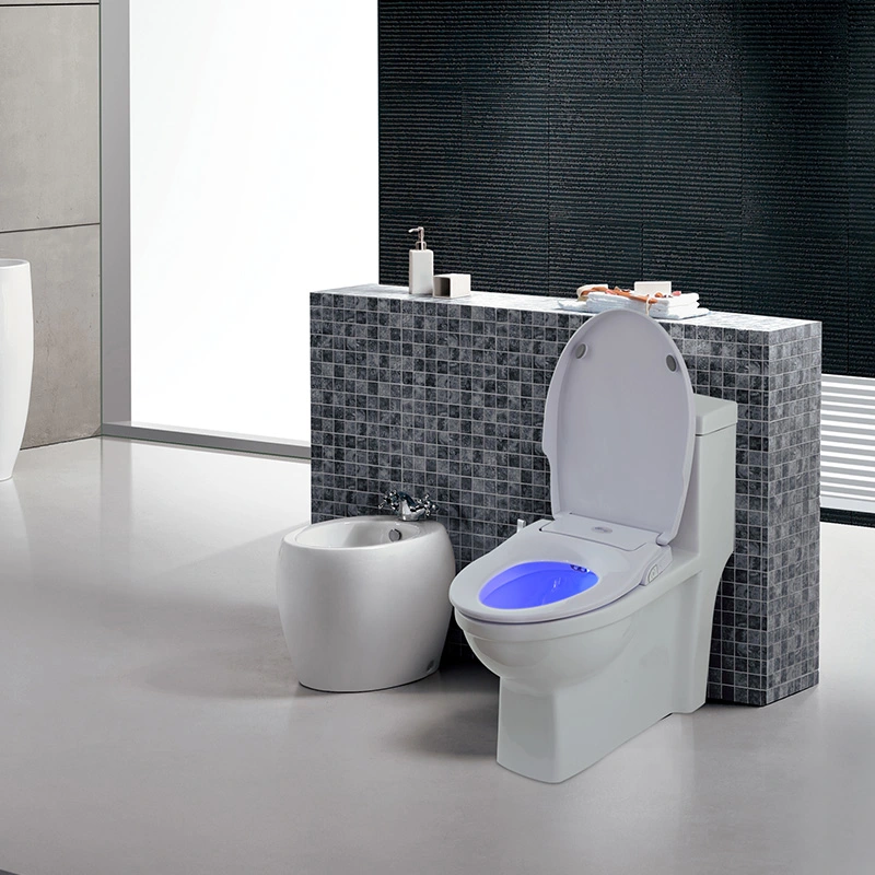 Non-electric Toilet Seat Bidet Cover Soft Close Comfortable Bidet Seat
