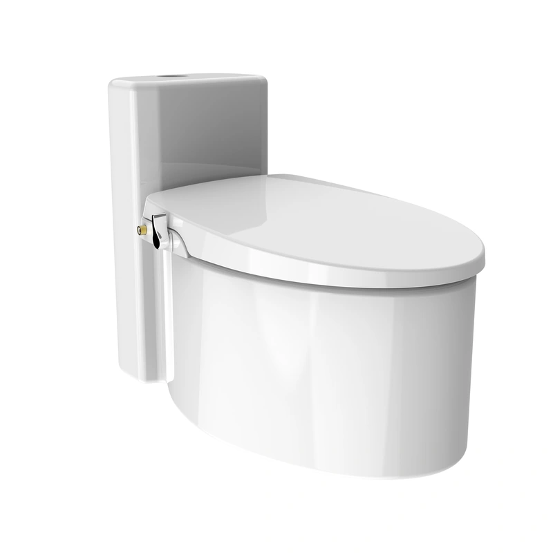 Self-Closing Bidet Seat Non-Electric Dual Nozzle Cold Water  Bidet