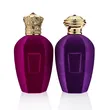50ml perfume bottle
