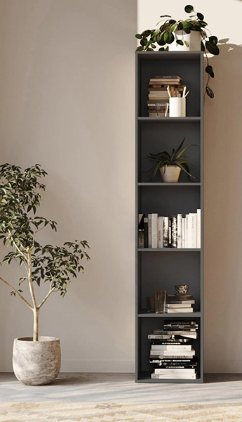 Collection shelf