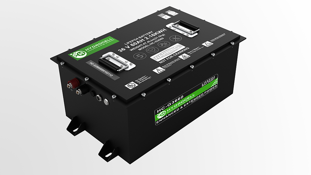  Deep Cycle LiFePO4 Golf cart Batteries 