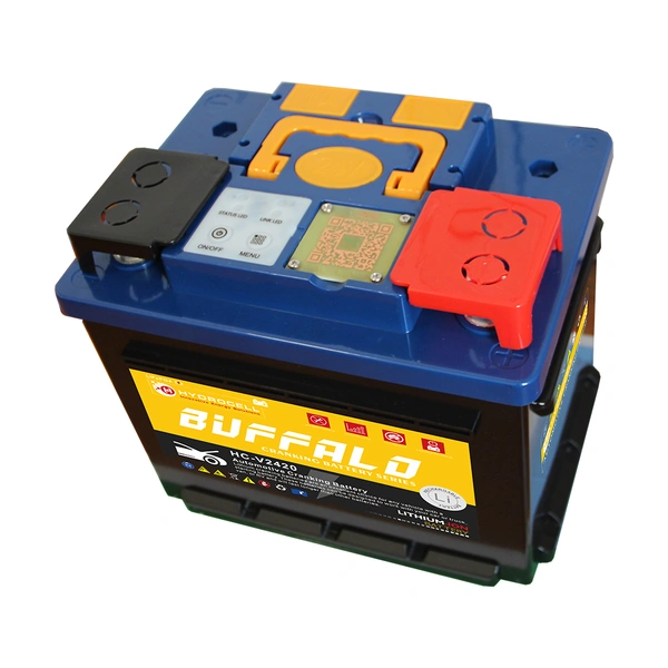 batterie de démarrage au lithium-batterie lifepo4 rechargeable à cycle profond