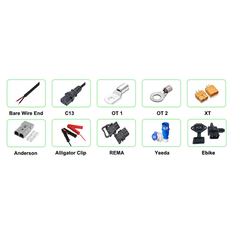 مصنع / الشركة المصنعة لشاحن بطارية Li-ion lifepo4  