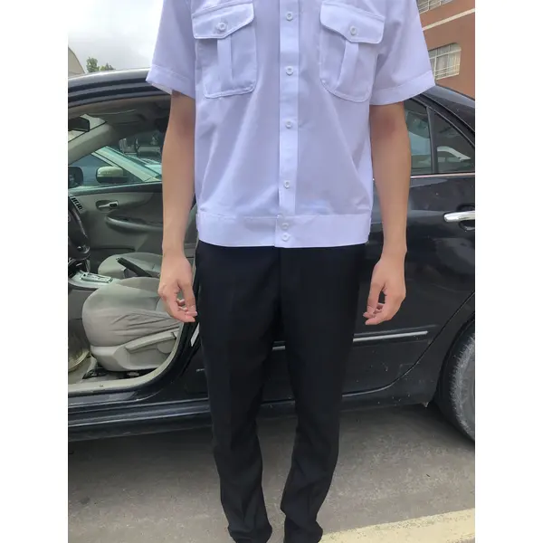 BD-MO-119 Order driver uniforms in this edition Model display Customized short-sleeved uniforms Lapel light shirts Driver uniforms shop