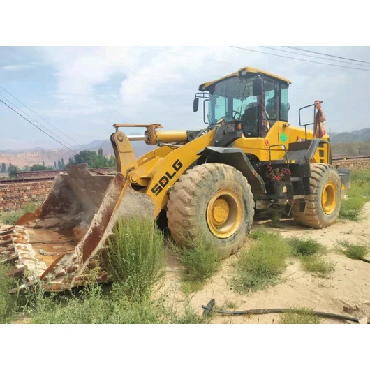 Shandong Lingong L956F