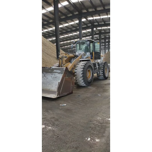 Shandong Lingong L968F