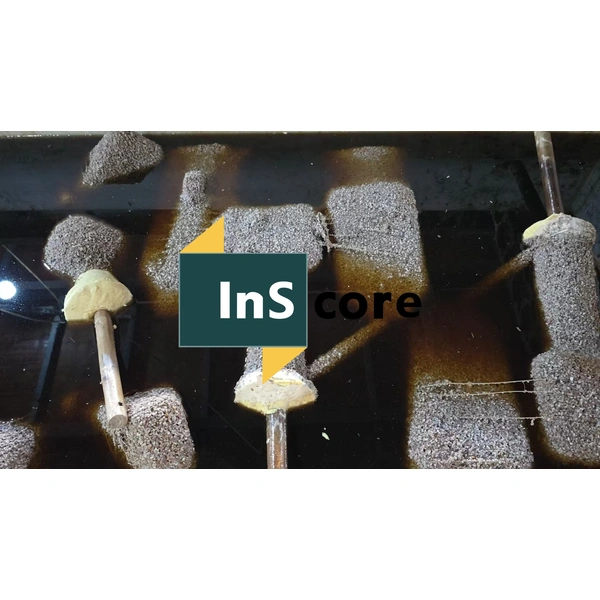 CAT J300 General Purpose Aftermarket Bucket Tip