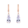 2023 summer new zircon jewelry rose gold water drop earrings earrings female simple small ear hook erp95