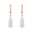 2023 summer new zircon jewelry rose gold water drop earrings earrings female simple small ear hook erp95