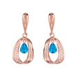 Clearance European and American jewelry rose gold fashion shining ring circle earrings temperament earrings female erq01