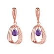 Clearance European and American jewelry rose gold fashion shining ring circle earrings temperament earrings female erq01