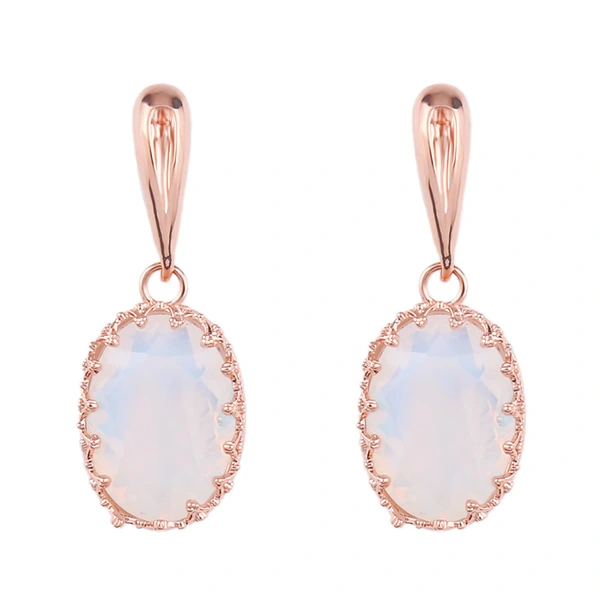 earrings e-commerce jewelry European and American simple zircon earrings fashionable personality geometric earrings ern39