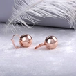 Korea's hot-selling creative, simple and exquisite spherical earrings, European and American temperament, the same style as the Internet celebrity women