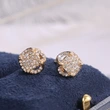    Hot selling creative personality hip-hop style earrings and earrings