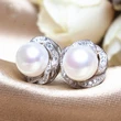European and American hot selling new exquisite luxury women's pearl earrings fashionable simple double earrings jewelry wholesale