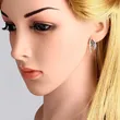 New topaz earrings micro-diamond earrings gift factory wholesale European and American evening party accessories erj75