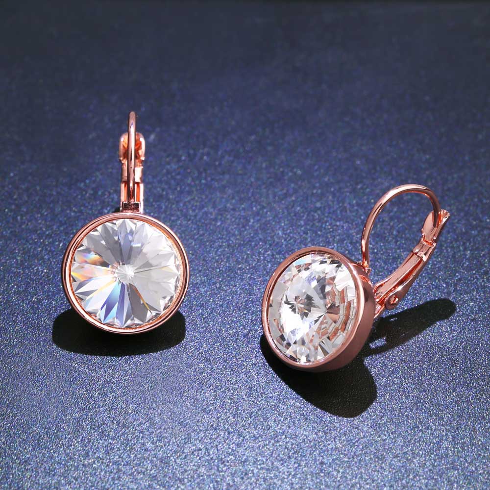 E-commerce specializes in European and American earrings AAA Swarovski diamond rose gold ear hooks Yiwu jewelry erj76
