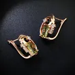 High-end French earrings 2023 new style Korean temperament Internet celebrity simple earrings earrings female erj68
