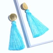 European and American fashion tassel earrings fashionable versatile women's simple personality earrings trendy ear jewelry wholesale erm08