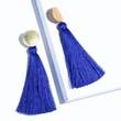 European and American fashion tassel earrings fashionable versatile women's simple personality earrings trendy ear jewelry wholesale erm08