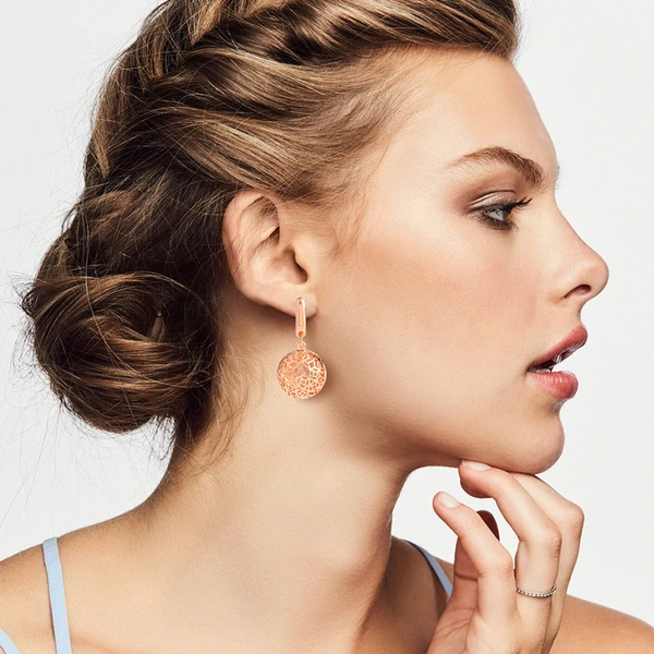 Accessories wholesale European and American fashion women's personality earrings creative exaggerated hollow round earrings ern36