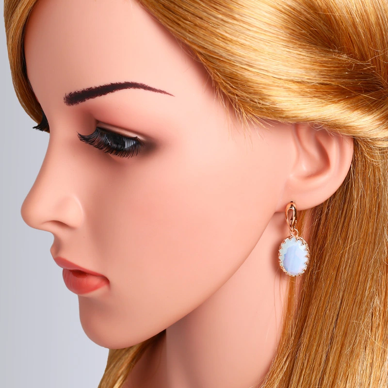 earrings e-commerce jewelry European and American simple zircon earrings fashionable personality geometric earrings ern39