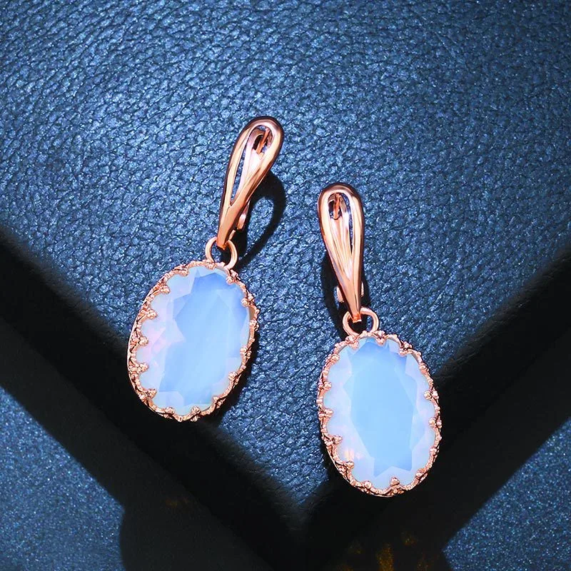 earrings e-commerce jewelry European and American simple zircon earrings fashionable personality geometric earrings ern39