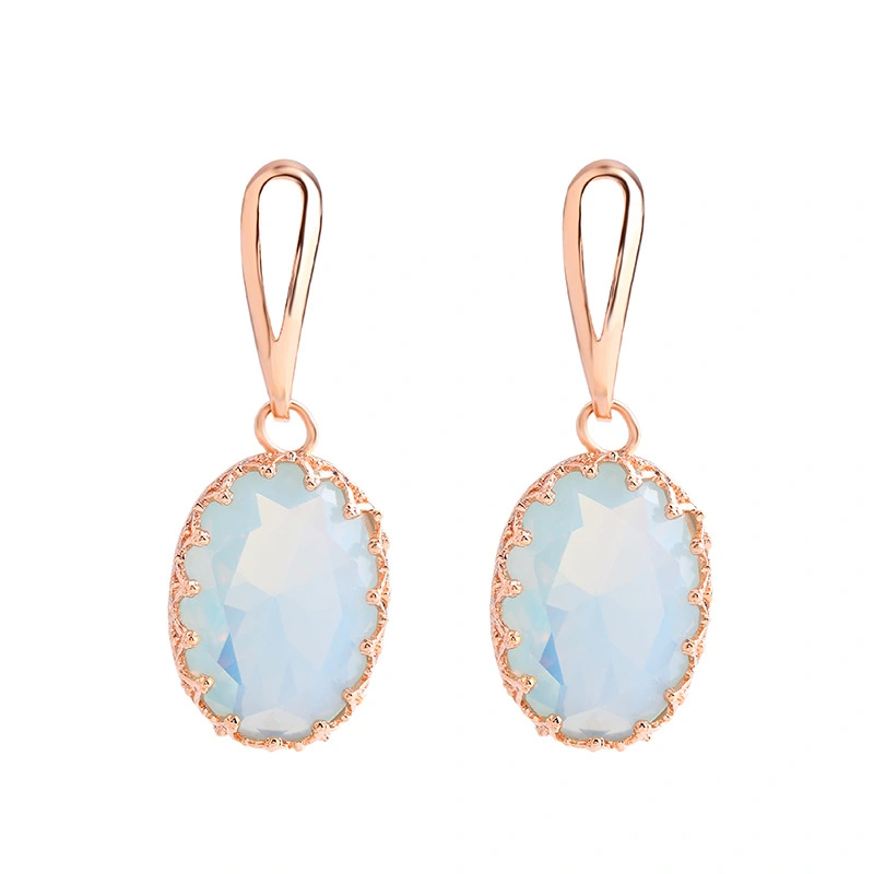 earrings e-commerce jewelry European and American simple zircon earrings fashionable personality geometric earrings ern39