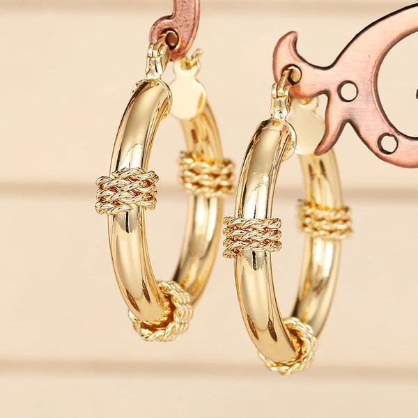 Hot-selling new designs in Europe, America and the Middle East, geometric high-end luxury accessories, niche hoop earrings