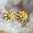 Dubai luxury earrings small daisy flower night market source earrings exquisite small fashion earrings