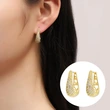 Temperament versatile U-shaped earrings for women, exquisite and small, elegant jewelry, hot-selling popular online celebrity style jewelry