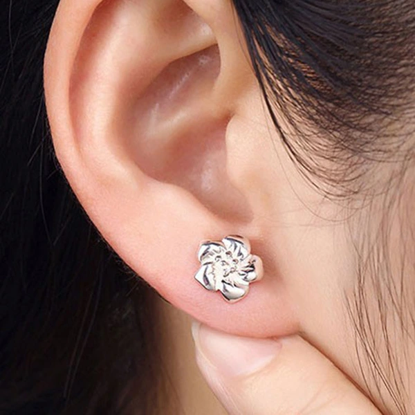   New style earrings simple platinum-plated rose earrings for women small fresh jewelry girly heart earrings