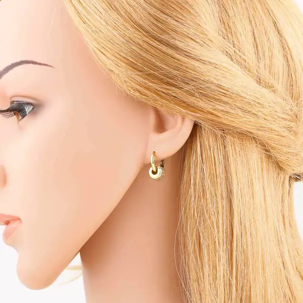 AS jewelry hot selling irregular pendant earrings female gold-plated zircon earrings earrings era344