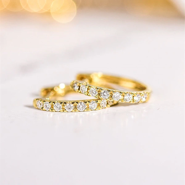 Source manufacturer light luxury style earrings for women, exquisite micro-inlaid zircon jewelry, elegant earrings for daily wear