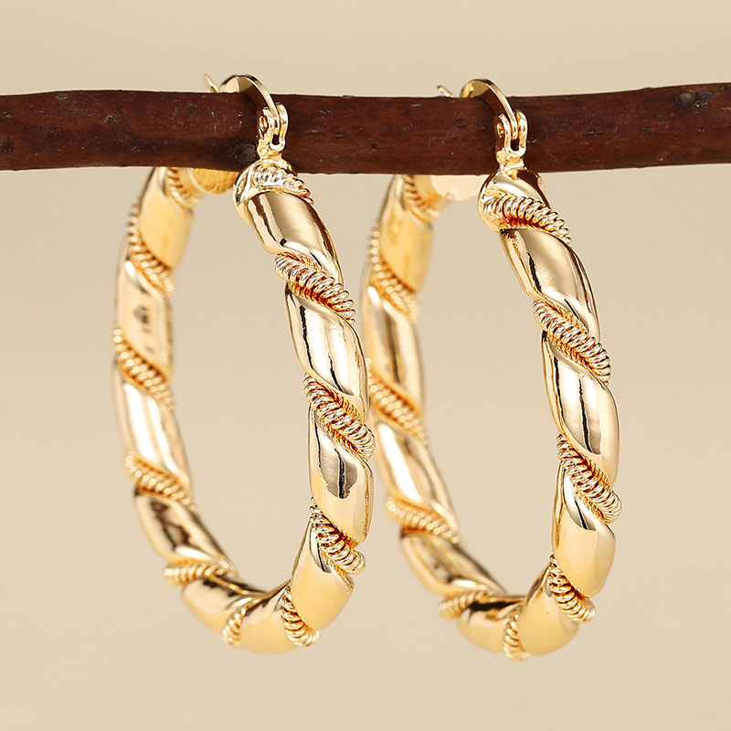 Hot-selling new designs in Europe, America and the Middle East, geometric high-end luxury accessories, niche hoop earrings