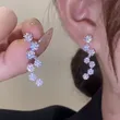 Fully inlaid with flowers and snowflakes, exquisite long earrings with elegant leaf shape and galaxy earrings, clearance sale