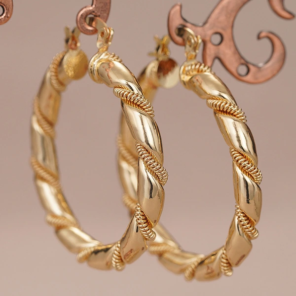 Hot-selling new designs in Europe, America and the Middle East, geometric high-end luxury accessories, niche hoop earrings