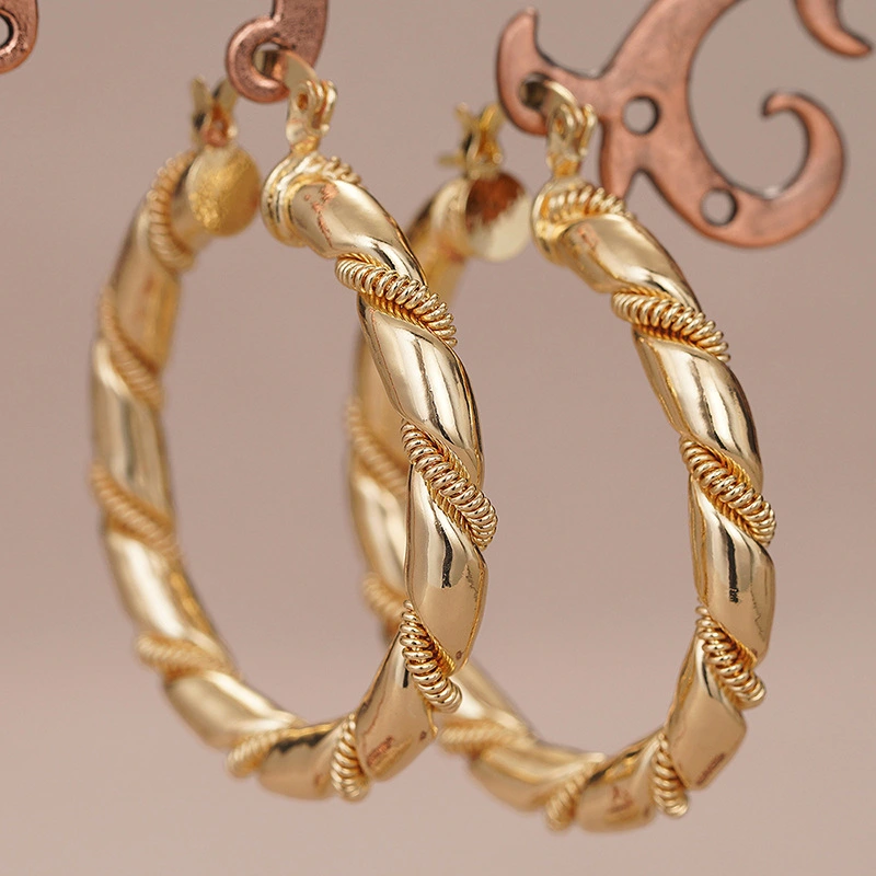 Hot-selling new designs in Europe, America and the Middle East, geometric high-end luxury accessories, niche hoop earrings