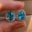 Hot selling Korean style jewelry personalized zircon three-dimensional earrings retro versatile earrings