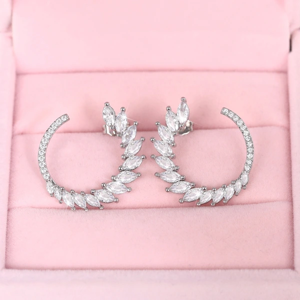 Korean horse eye zircon hoop earrings fashionable leaf arc wreath earrings all-match girls ear jewelry