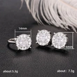 Special frosted zircon jewelry set niche design high-end heavy-duty temperament micro-inlaid earrings for women