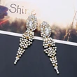 AS jewelry European and American simple tassel water drop earrings women's wedding crystal earrings earrings wholesale ern57