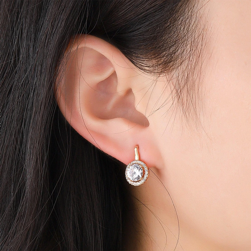 Fashion design European and American zircon earrings for women trendy commuter versatile earrings accessories wholesale