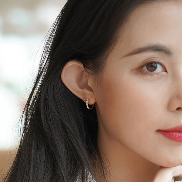 Source manufacturer light luxury style earrings for women, exquisite micro-inlaid zircon jewelry, elegant earrings for daily wear