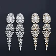 AS jewelry European and American simple tassel water drop earrings women's wedding crystal earrings earrings wholesale ern57